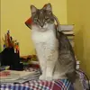 Отзыв от Фаина Павлова